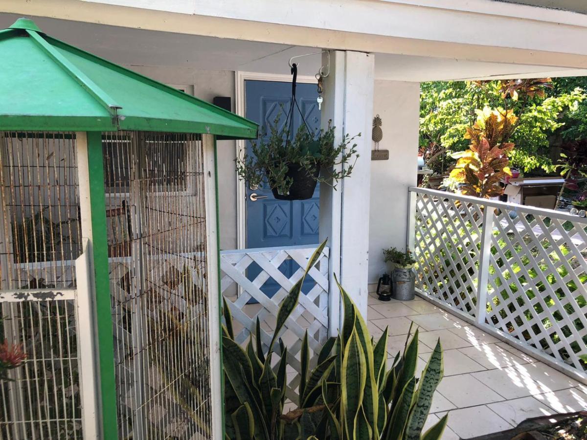 Independent Studio In Little Havana Miami Exterior photo