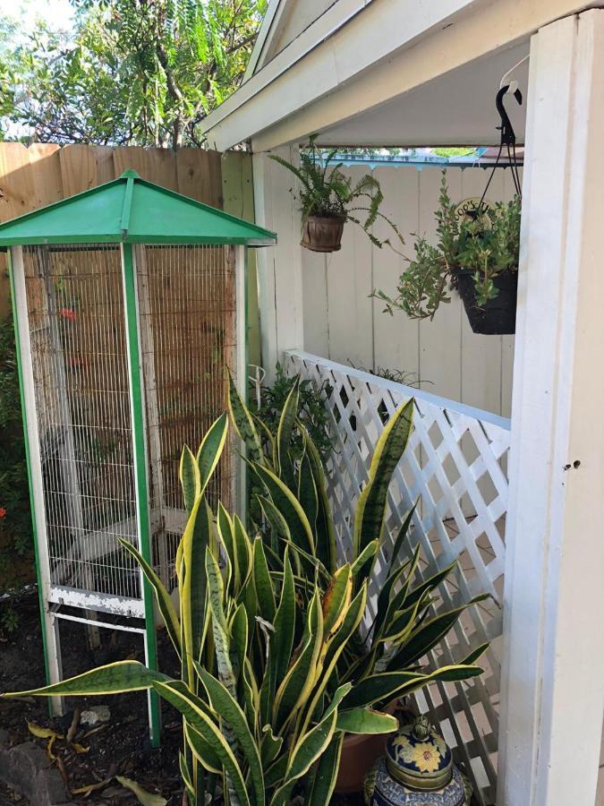 Independent Studio In Little Havana Miami Exterior photo