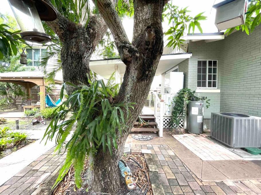 Independent Studio In Little Havana Miami Exterior photo
